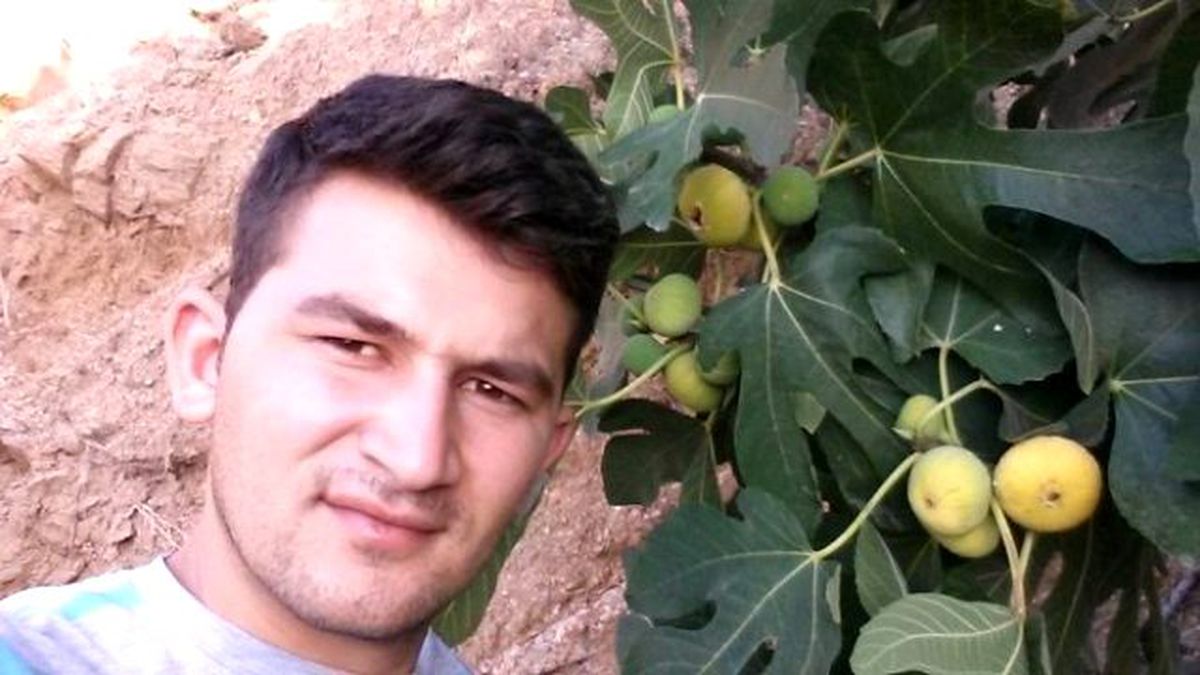 Aydın\'da İncir Hasadı Başladı