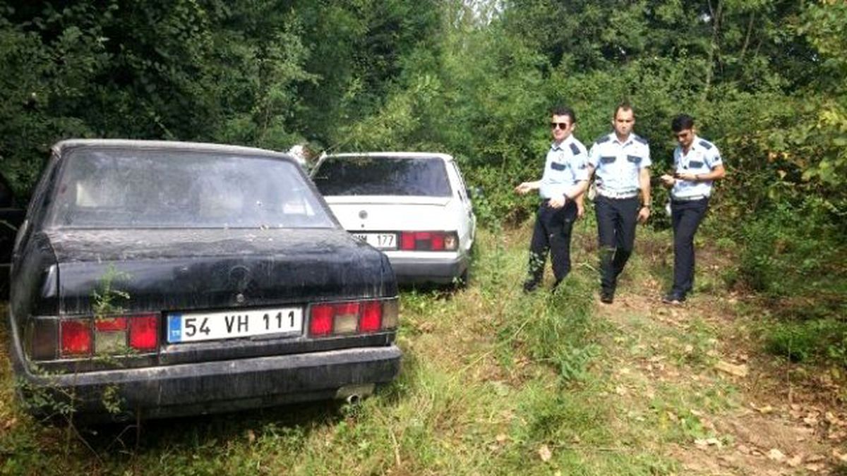 Çalıntı Araçlar Ormanda Bulundu