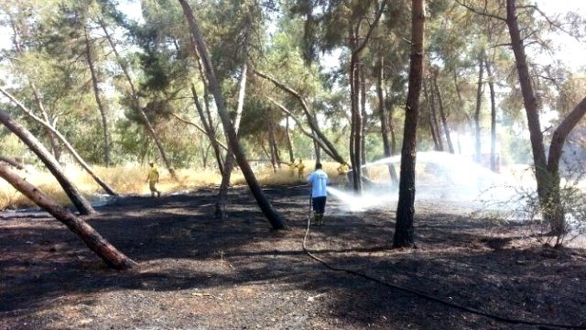 Çamlıktaki Yangın Korkuttu