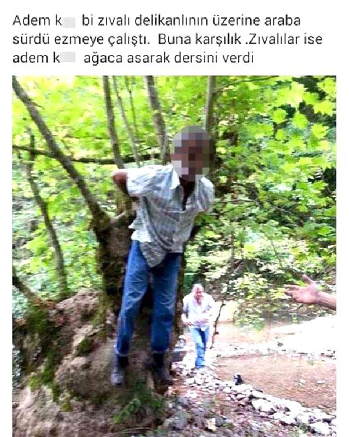 Kayınpederini Ağaca Bağladı, Fotoğrafını Çekip Sosyal Medyada Paylaştı