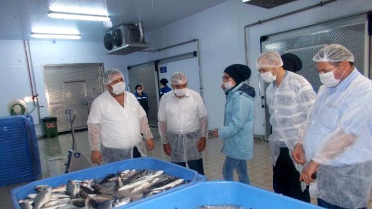 Tika\'dan Azerbaycan\'a Tarım ve Hayvancılık Alanında Uzman Desteği