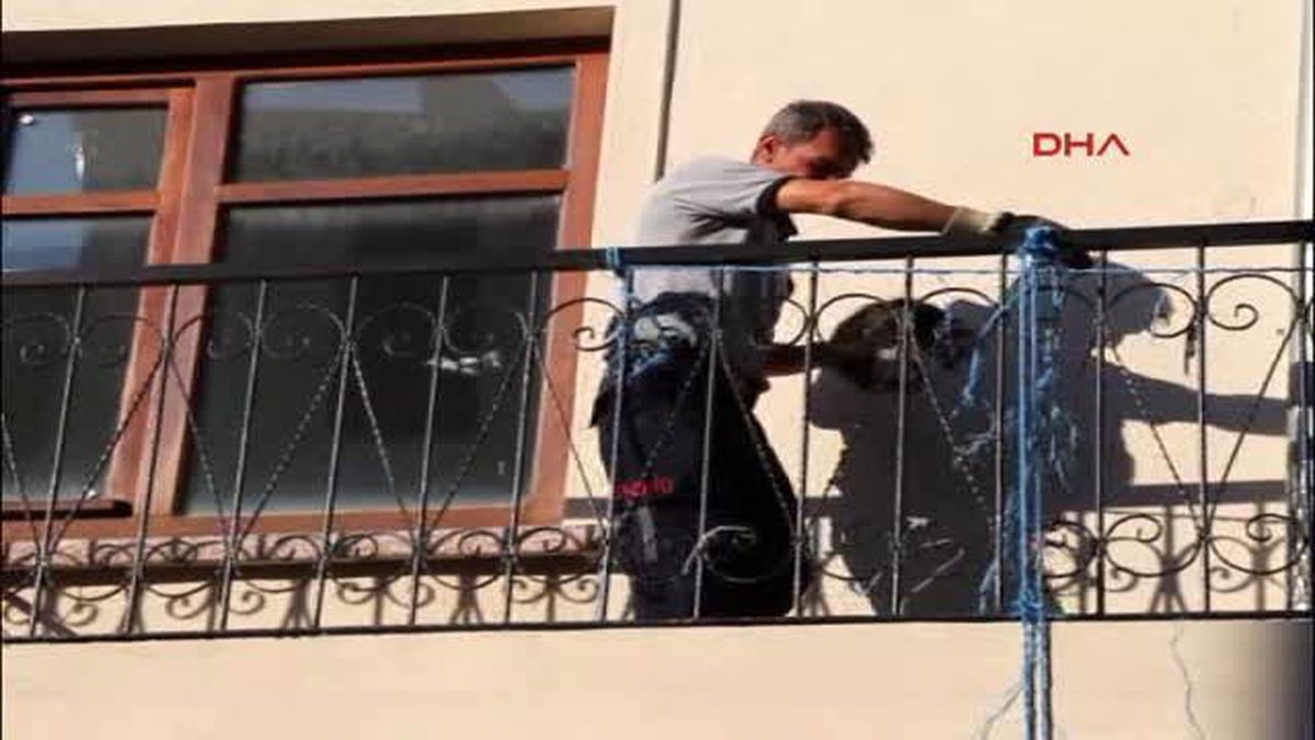 Burdur - İtfaiyeden Kedi Kurtarma Operasyonu
