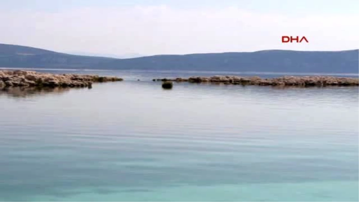 Burdur - Tedavisi Tamamlanan Tepeli Pelikan Salda Gölü\'ne Bırakıldı