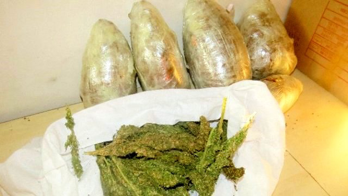 Diyarbakır\'da 55 Kilogram Esrar Ele Geçirildi