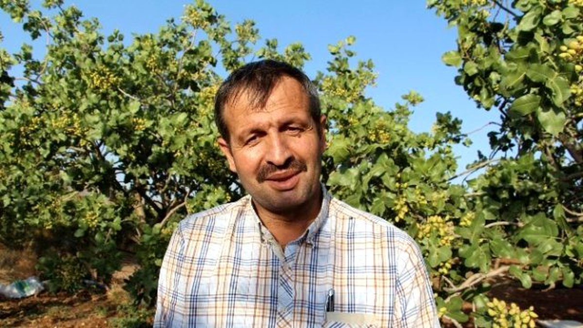 İl Dışından Siirt Üzümüne Rağbet