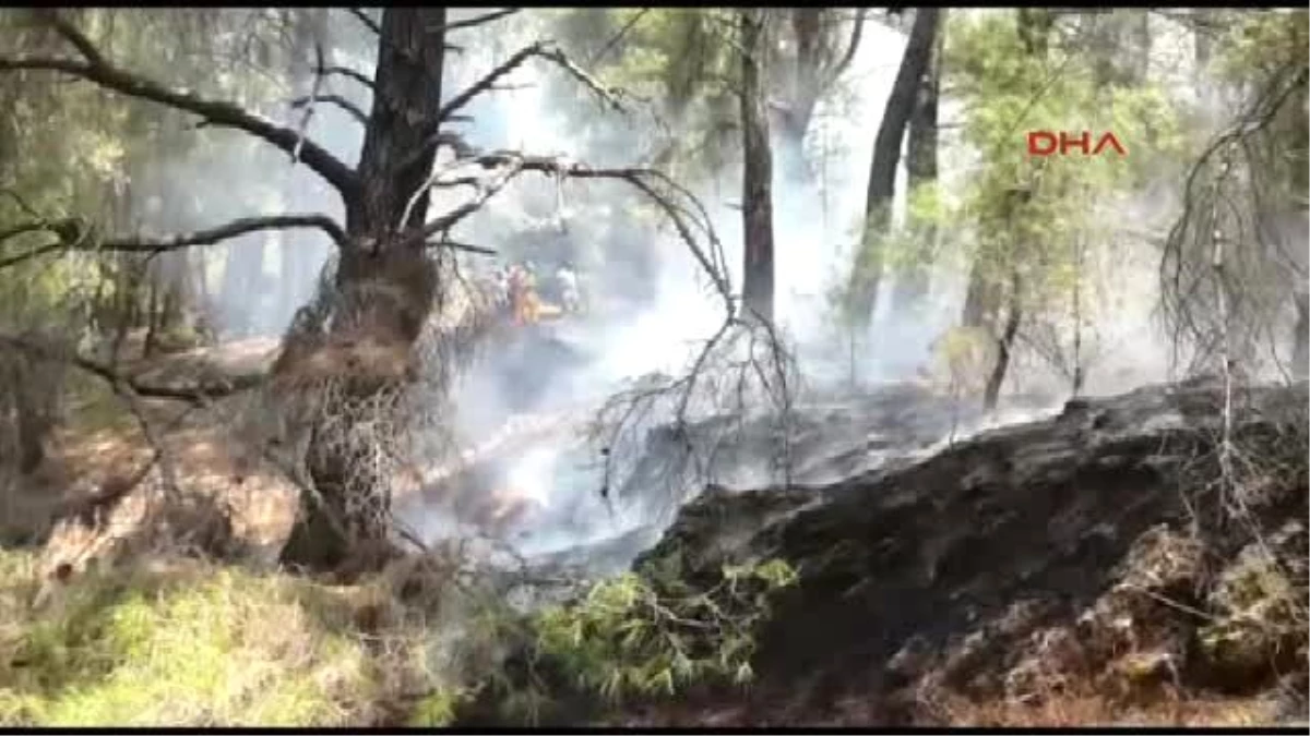 Ortaca\'da Orman Yangını