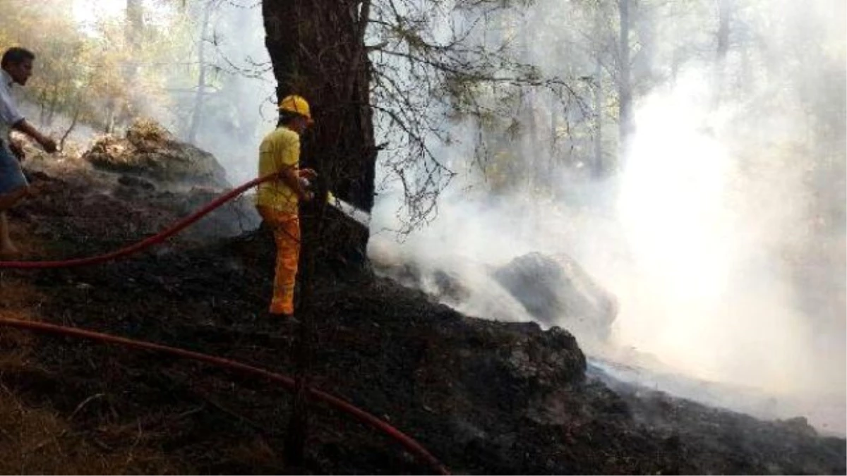 Ortaca\'da Orman Yangını Çabuk Söndürüldü