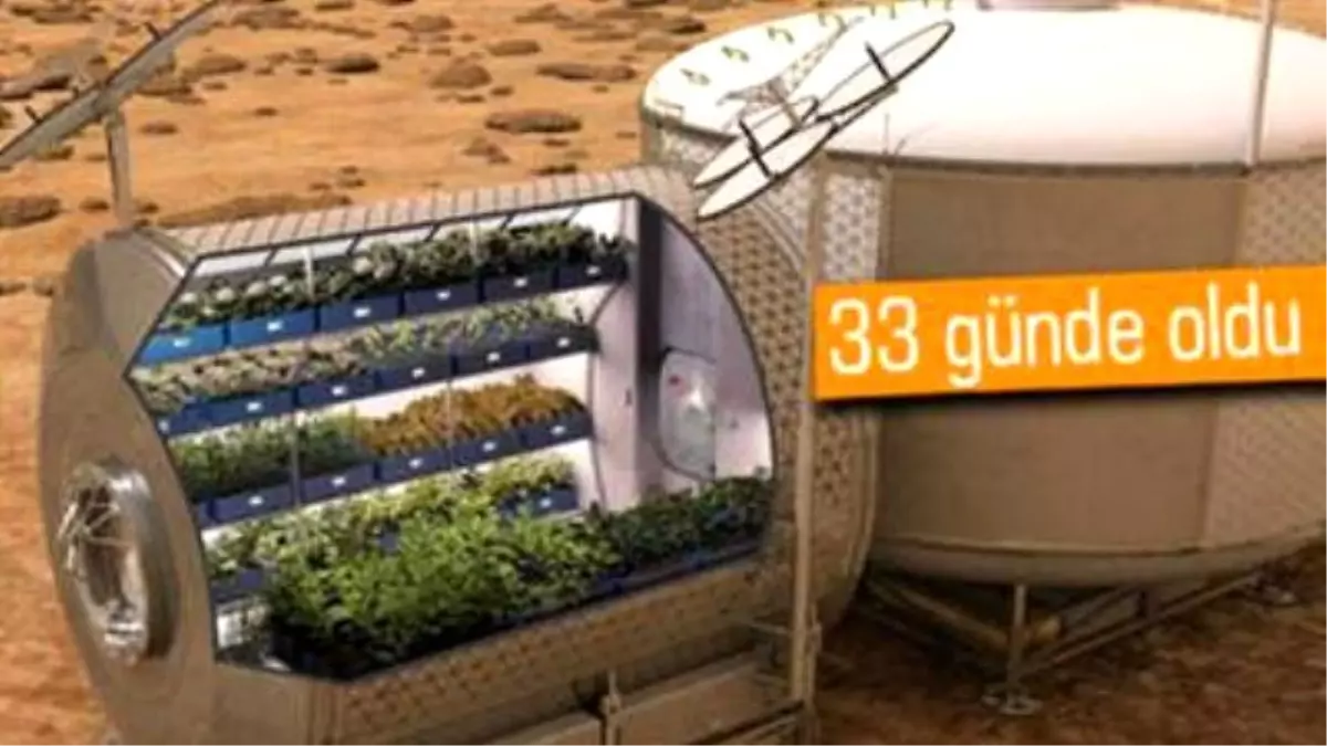 Uzayda Marul Yetiştirildi!