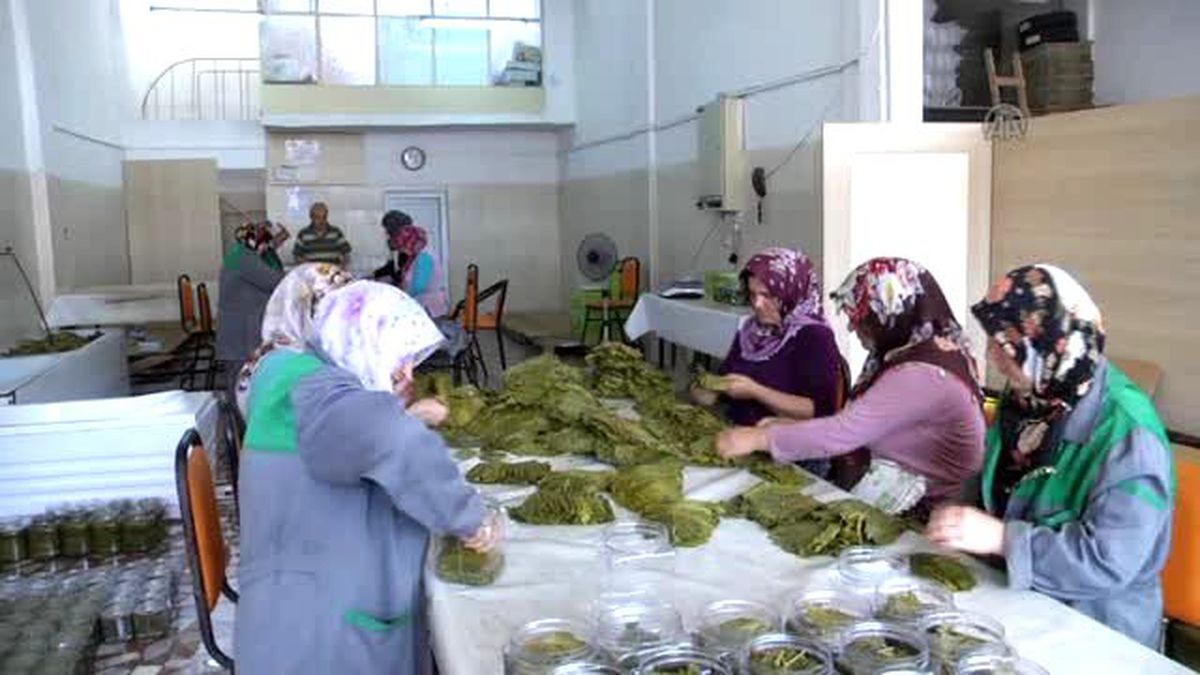 Tokat Erbaa Yaprağı Avrupa Yolunda