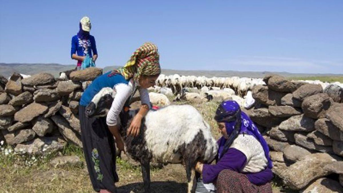 Karacadağ\'da Şimdi Béri Zamanı