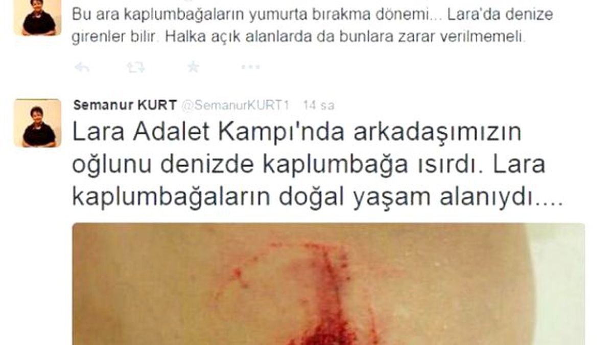 Lara\'da Deniz Kaplumbağaları 4 Kişiyi Isırdı