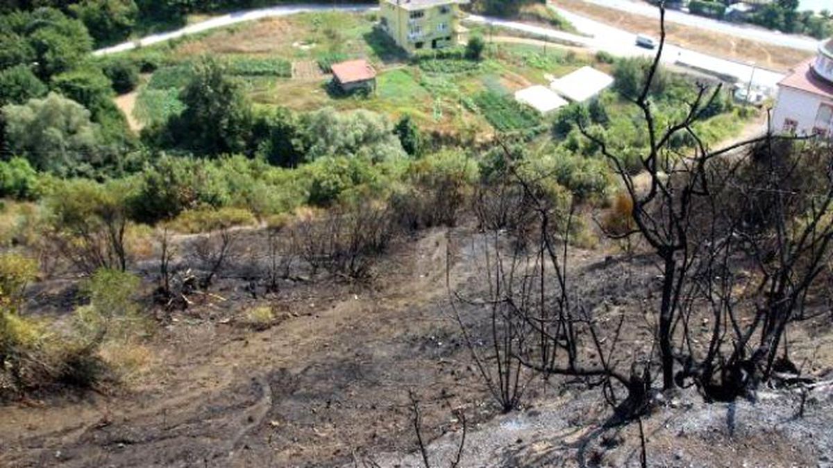 Otluk Alandaki Ateşin Ormana Sıçramasını Helikopter Önledi