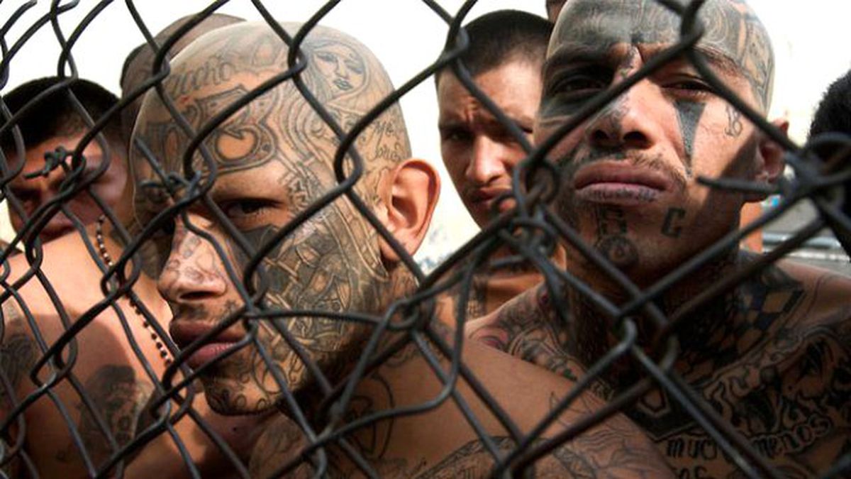 Tehlike Saçan Şehirlere Gitmek Cesaret İstiyor