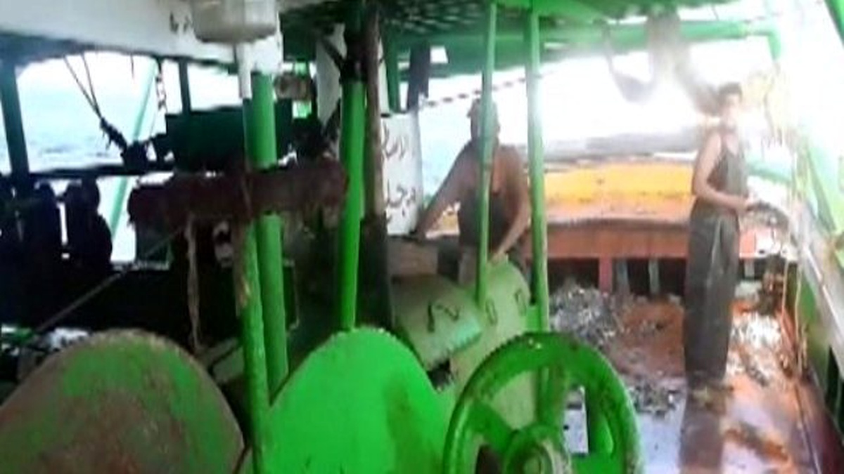 Yasa Dışı Avlanan Mısırlı Balıkçılar Suçüstü Yakalandı