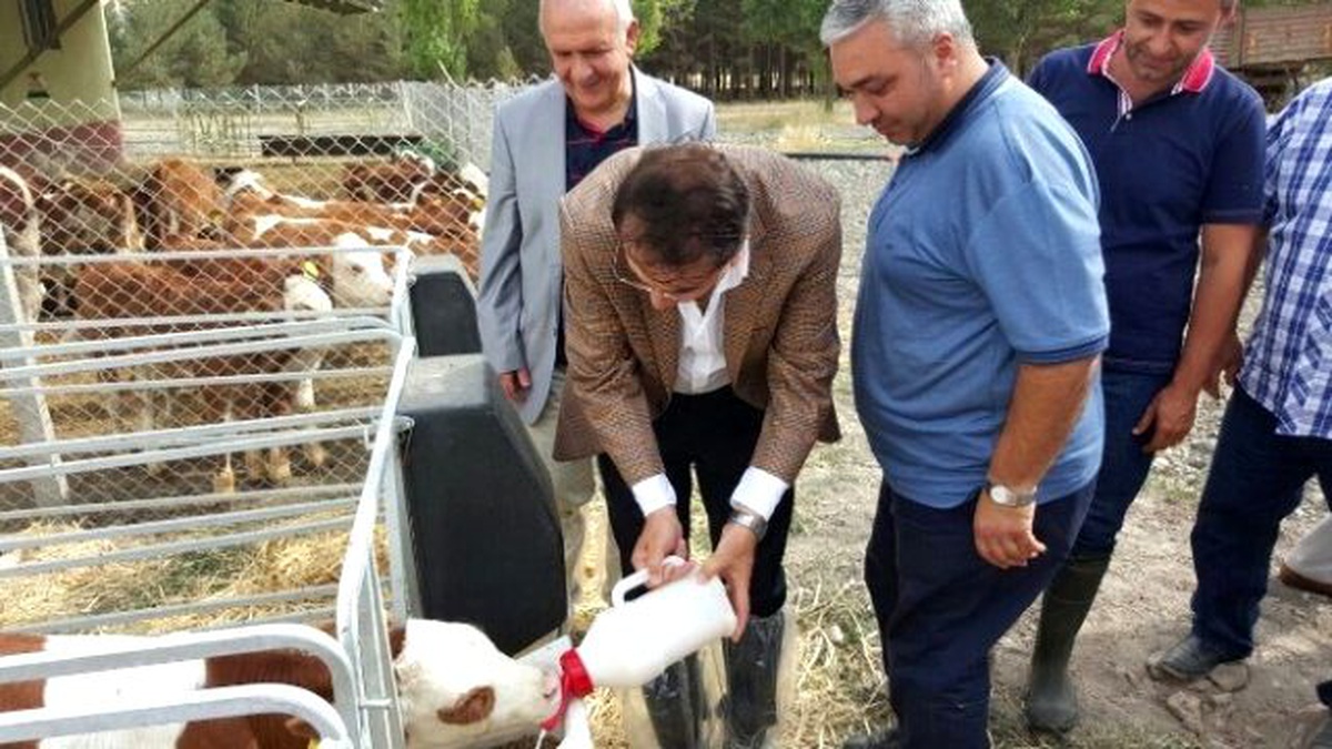 AK Parti Milletvekili Aydemir: "Kararlıyız"