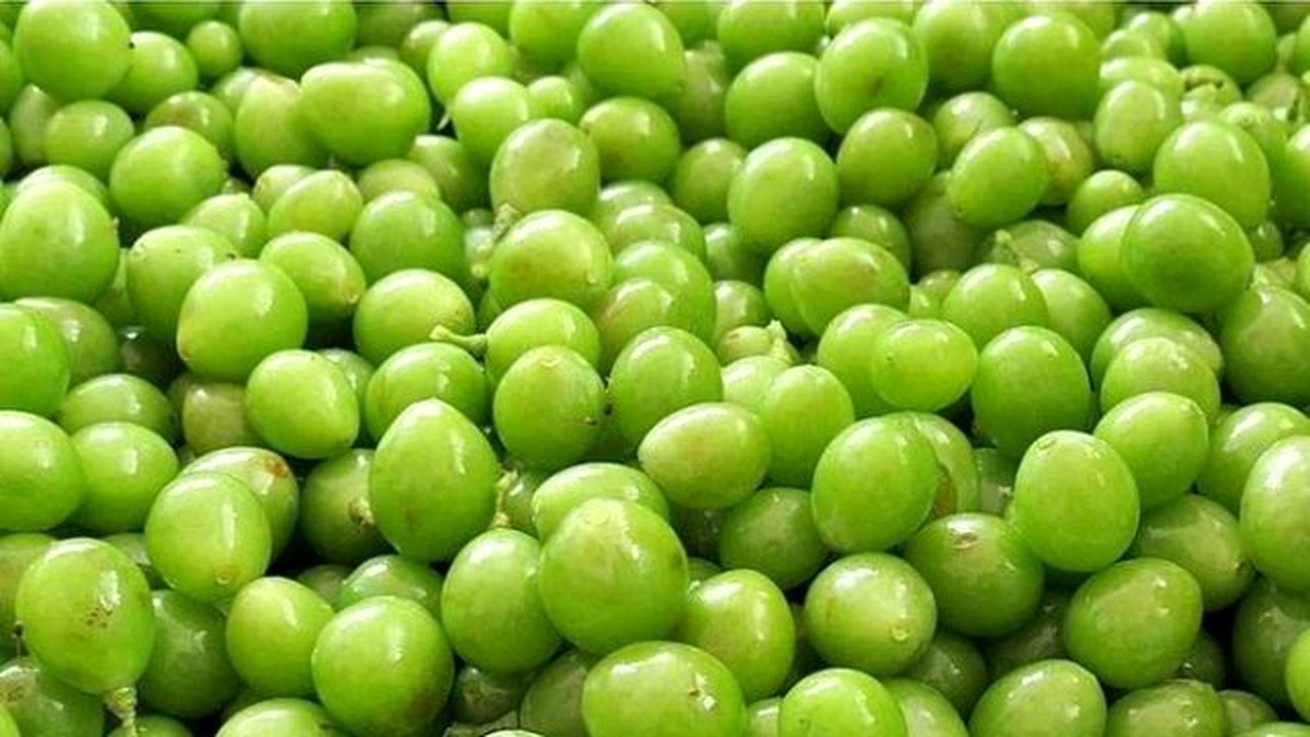Aşırı Sıcaklardan Koruk Suyuyla Korunun