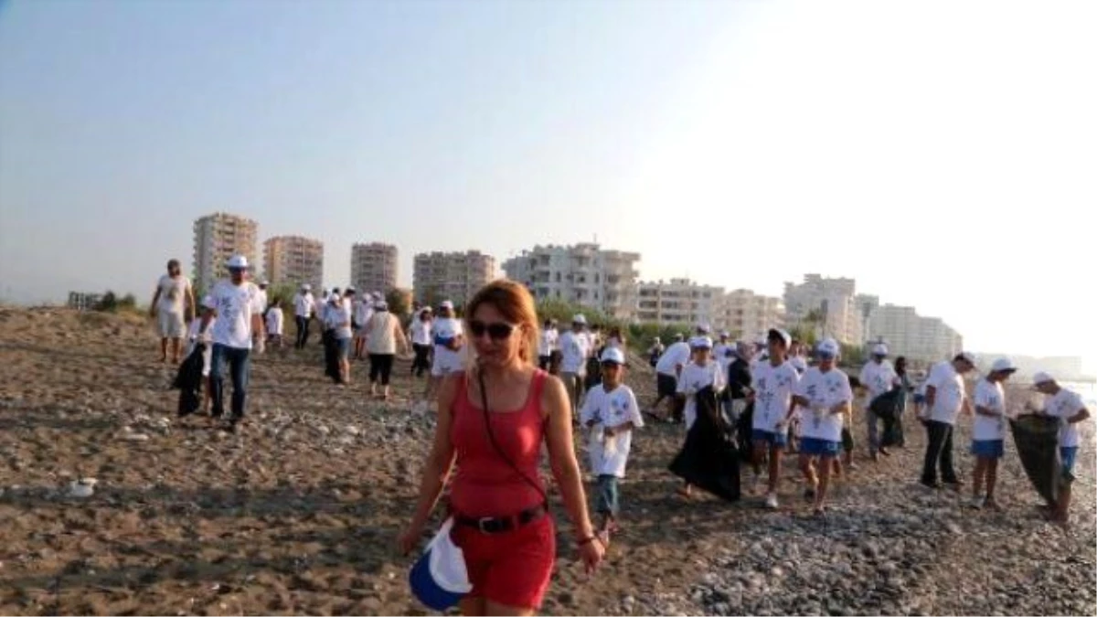 Baby Caretta Ceratta Parade, During Beach Cleaning At Meditereanean Coast