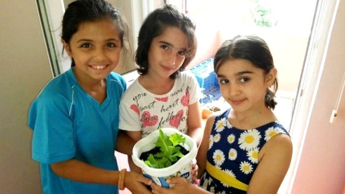 Bilgi Evleri Öğrencileri Organik Marul Yetiştirdi
