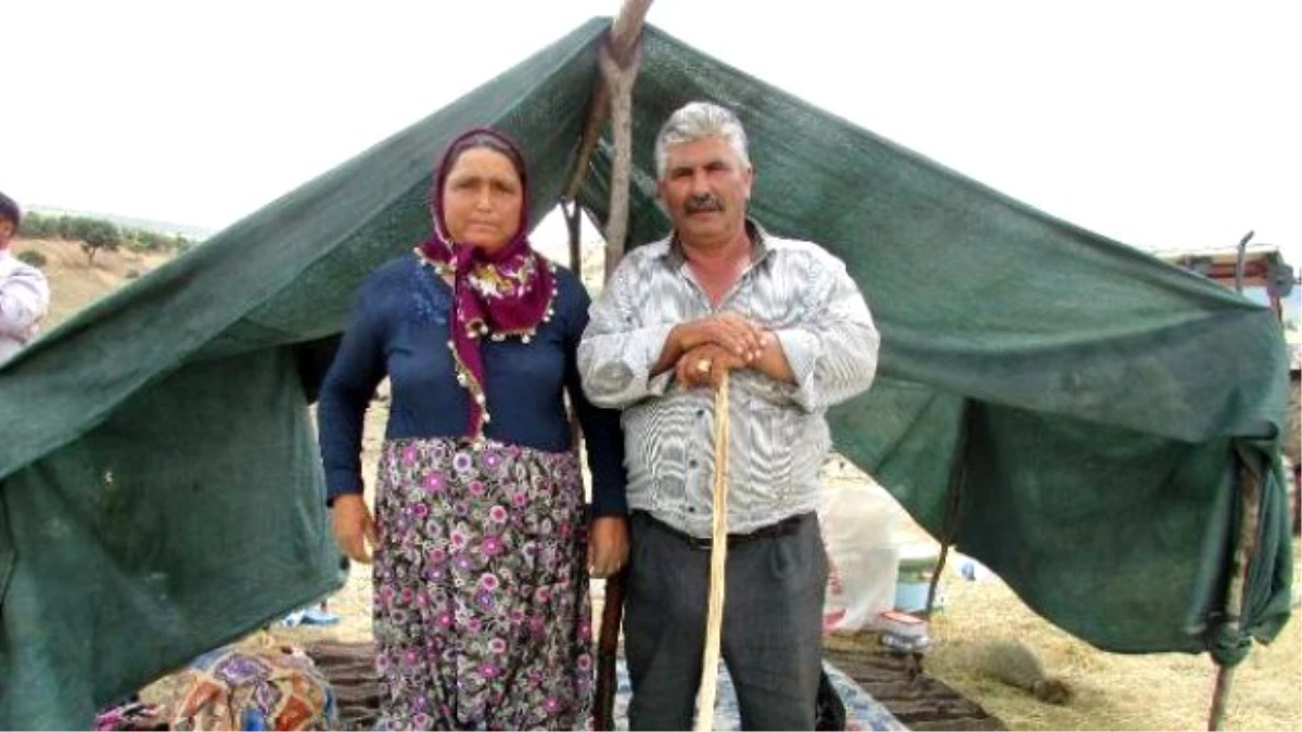 Göçebe Yaşamdan Böbrek Nakli de Vazgeçirmedi