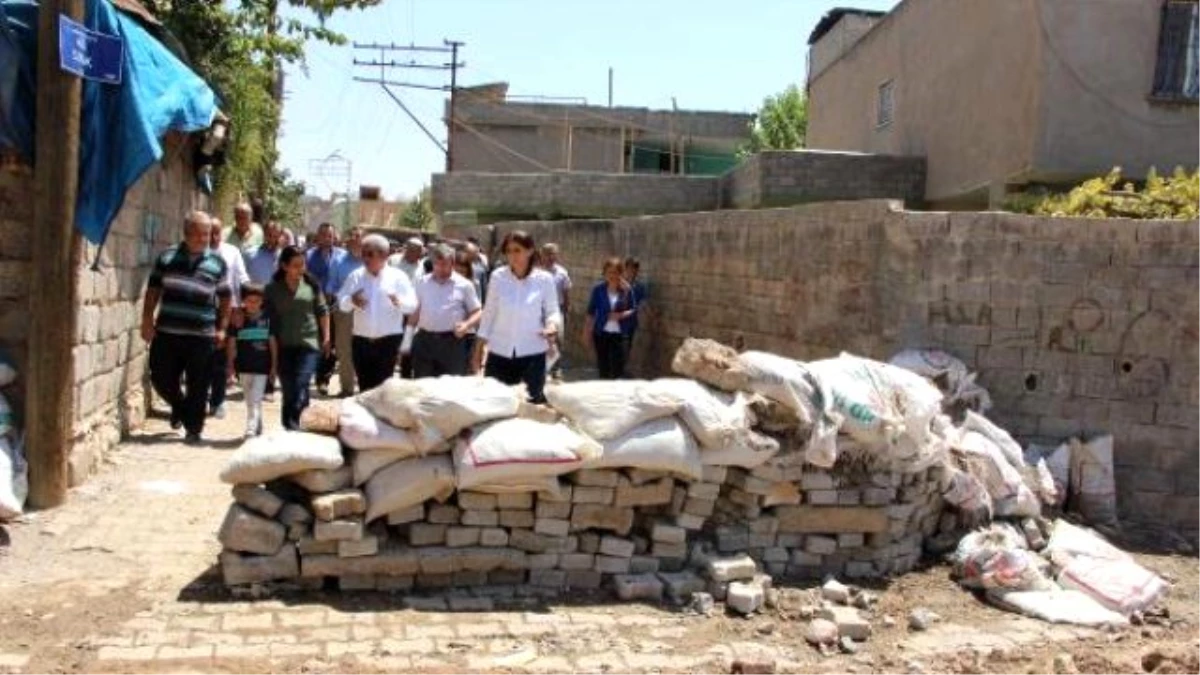 Hdp Heyeti Silopi\'de İncelemelerde Bulundu