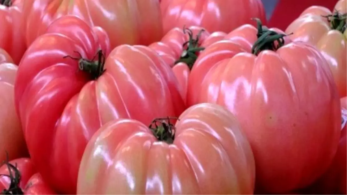 Lice\'de Organik Ürün Pazarı Kurulacak