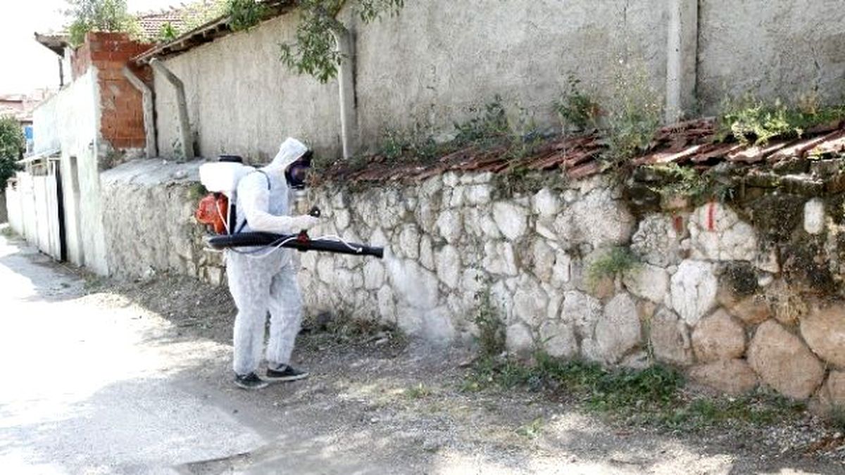 Odunpazarı\'ndan Haşereye Karşı İlaçlama Çalışmaları
