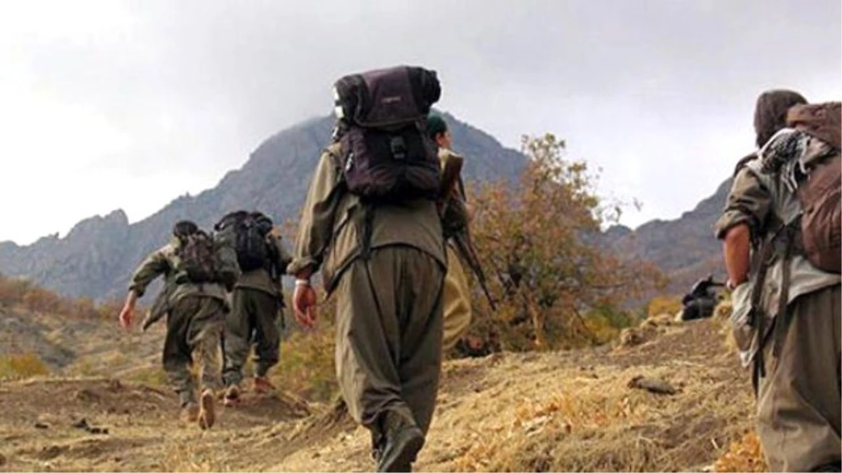 PKK'lı Teröristler Hırsızlığa Başladı