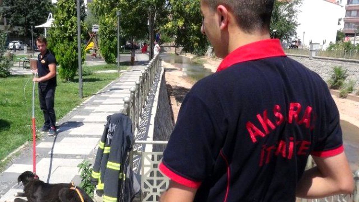 Saldırgan Köpeği İtfaiye Sakinleştirdi