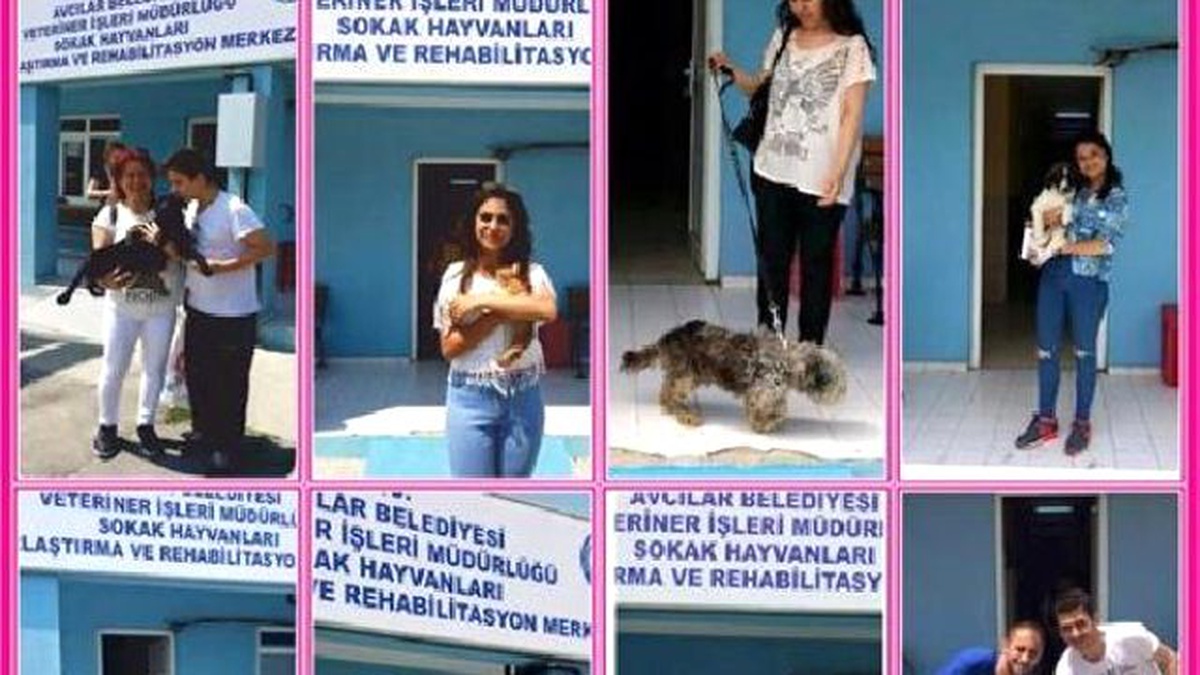 Sevimli Dostları Satın Almayın Sahiplenin\' Çağrısı