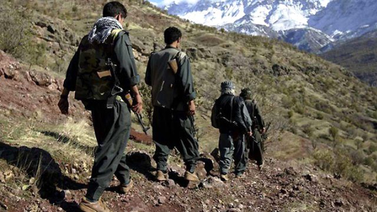Tendürek Dağı\'nda 7 PKK\'lı Terörist Ölü Ele Geçirildi
