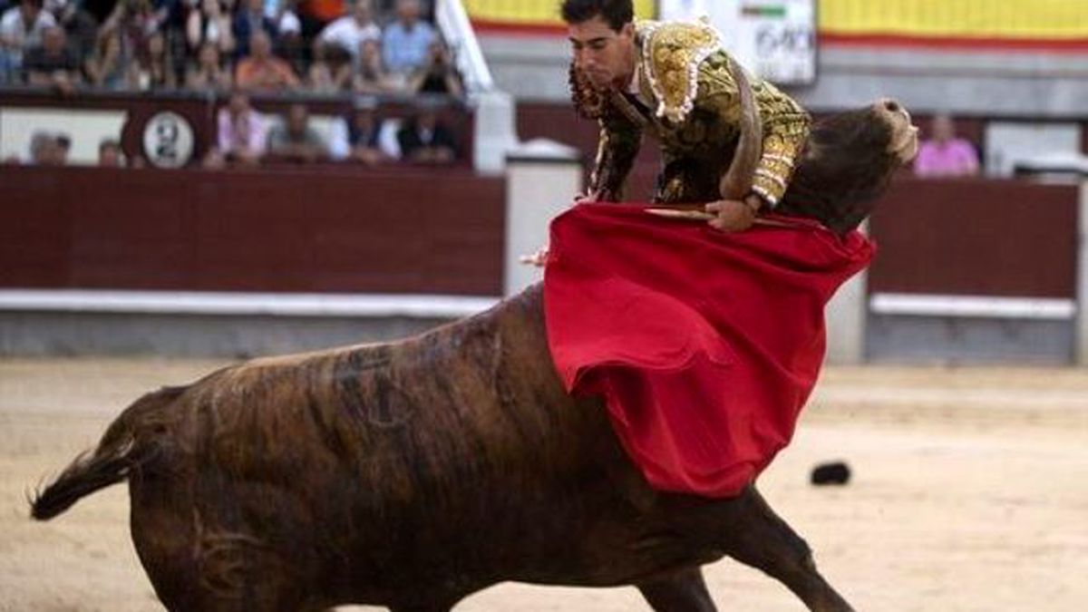 Kızgın Boğa, Boynuzunu Matadorun Boğazını Soktu