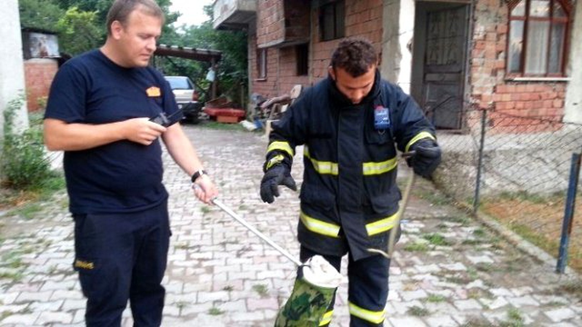 Eve Giren Yılanı İtfaiye Ekipleri Çıkarttı