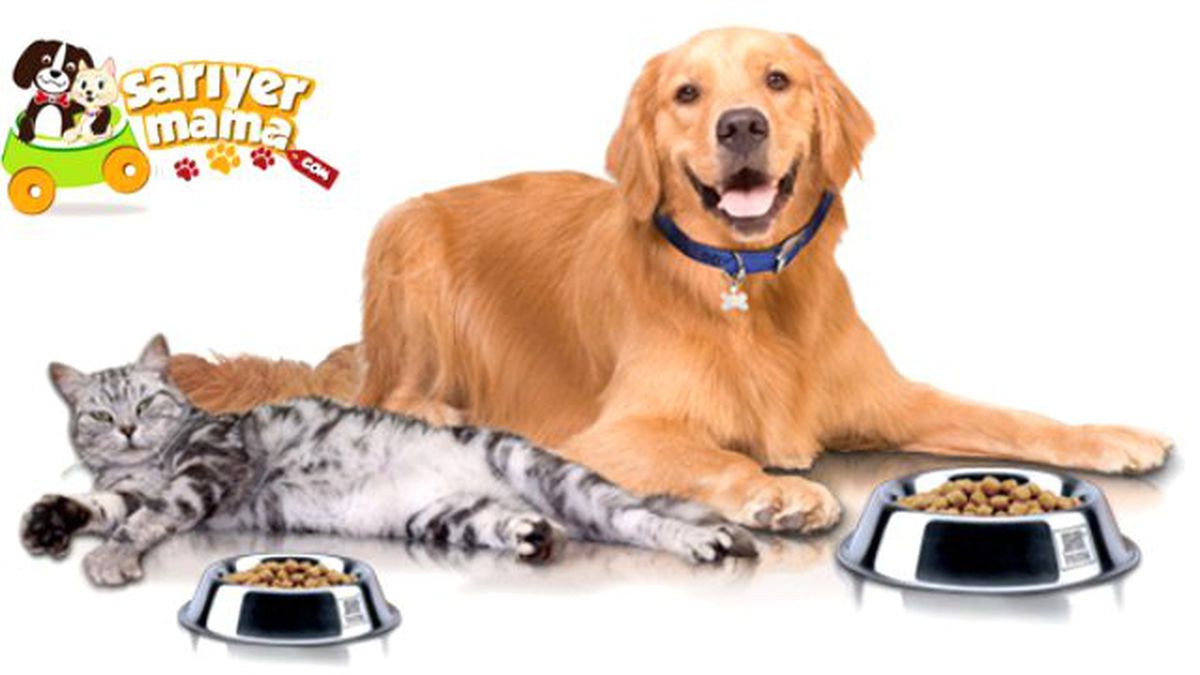 Sarıyer'in İlk Sanal Petshop Mağazası 'SARIYER MAMA' Açıldı