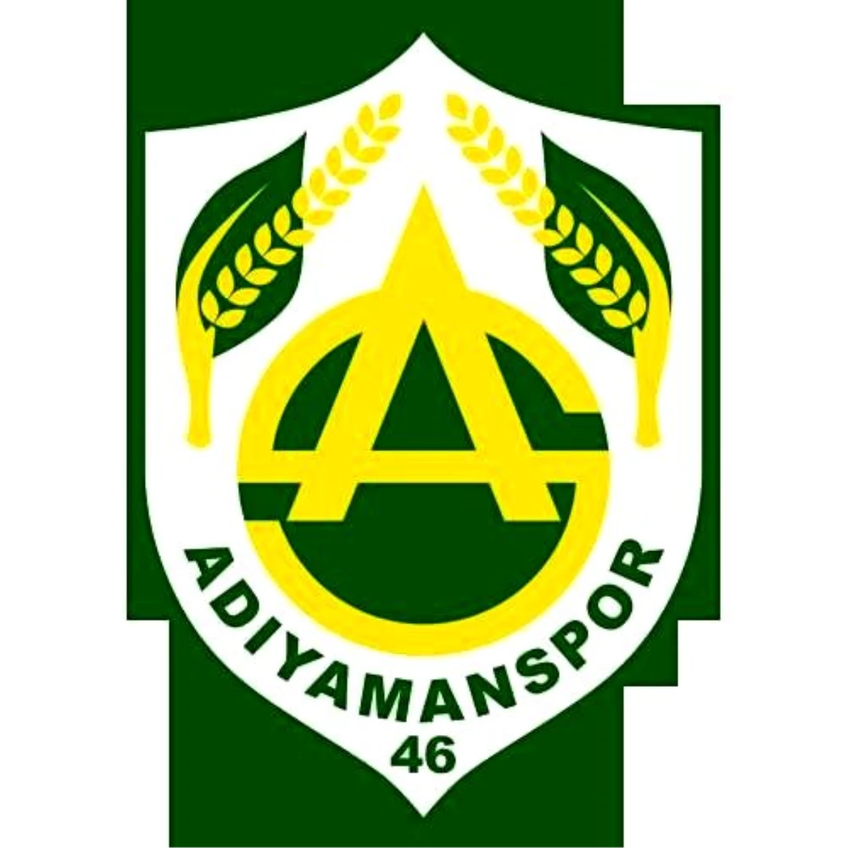 Adıyamanspor\'da İcra Şoku