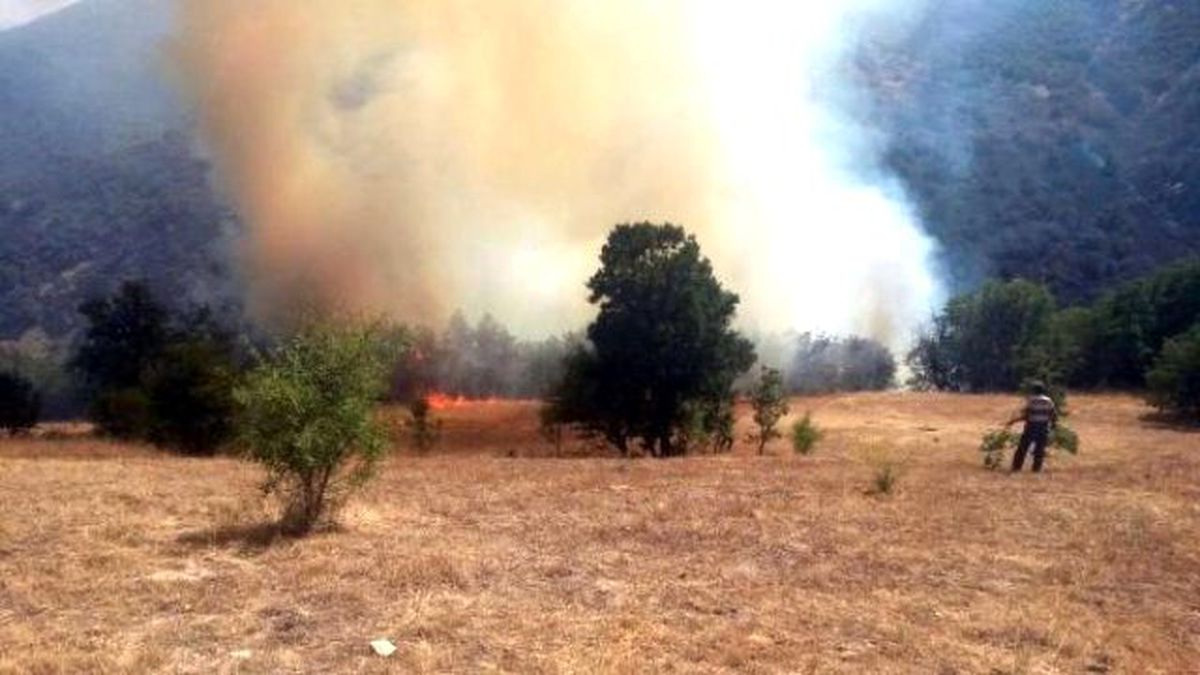 Eruh\'ta Orman Yangını