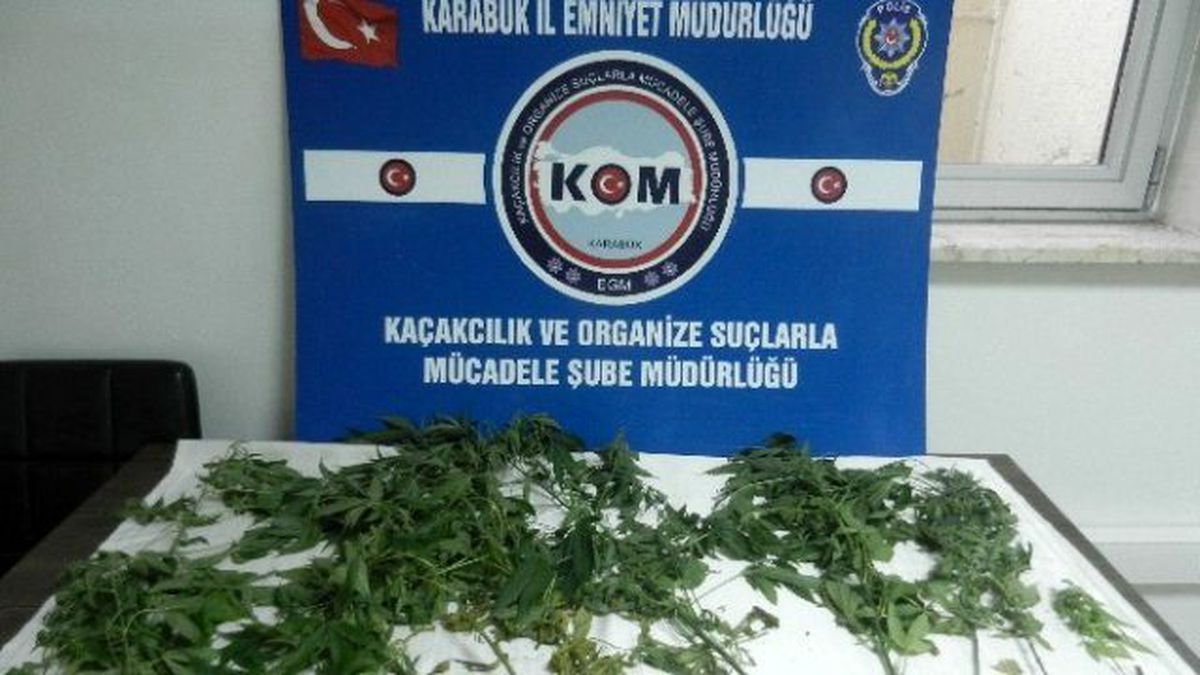 Karabük Emniyetin Kenevir Operasyonu