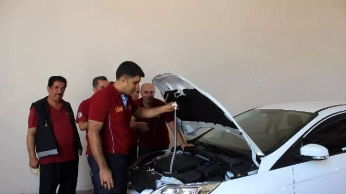 Otomobilden Yılan Çıktı