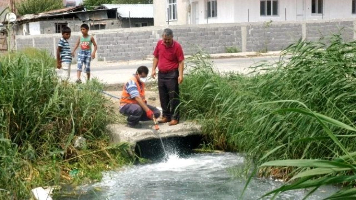 Sinekten Uzak, Temiz İlçeler İçin Gece Gündüz Mesai