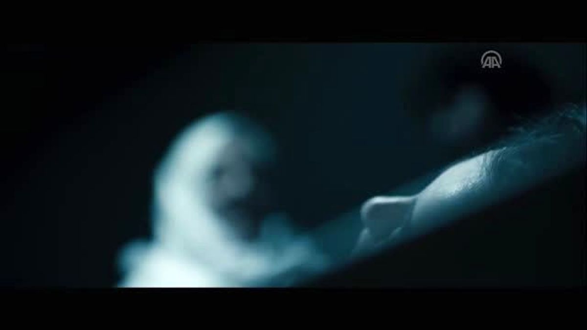 Sinema - Üç Harfliler 2: Hablis