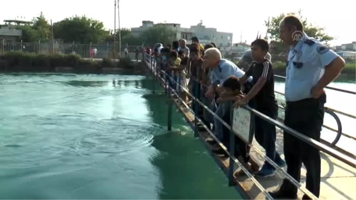 Sulama Kanalına Giren Çocuğun Kayboldu İddiası