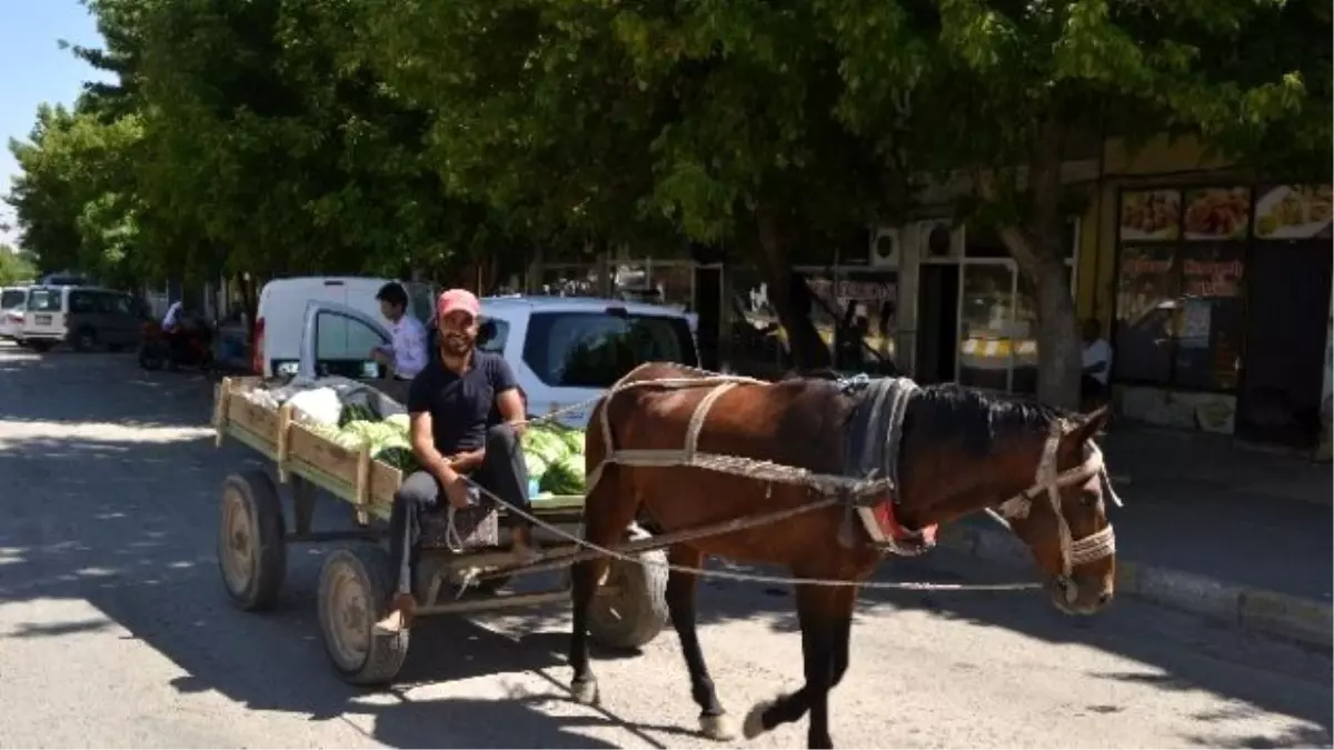 Ürün Pazarlamasına At Arabalı Çözüm