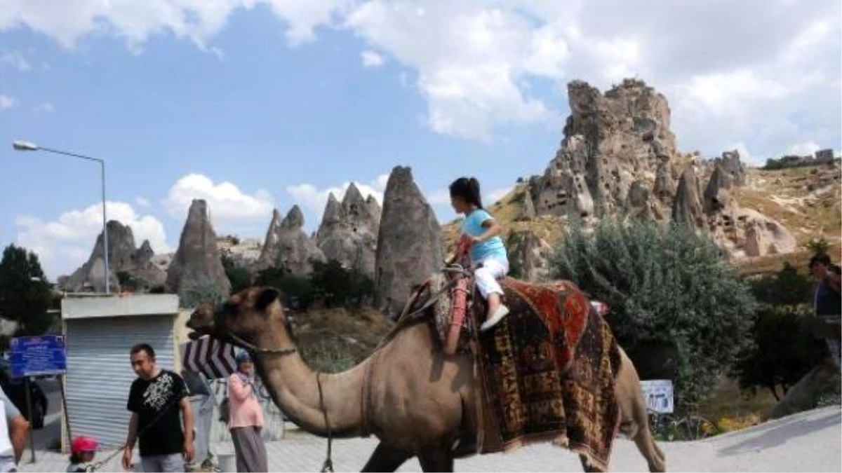 Video) Camel-trekking Tours Mesmerize Domestic, Foreign Tourists İn Nevsehir