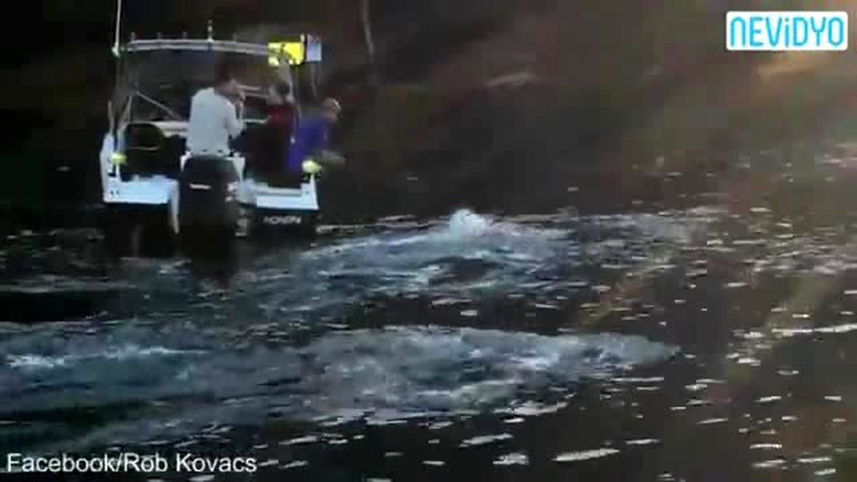 Balina Balıkçılardan \'Yardım İstedi\'