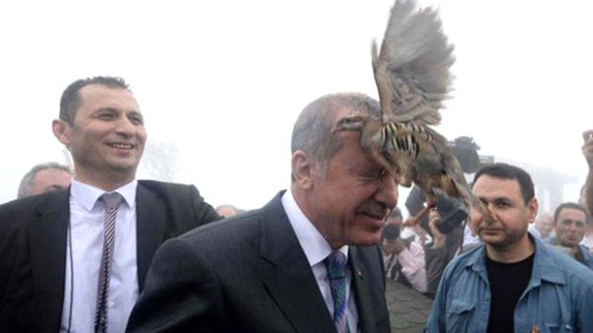 Erdoğan'ın Başına Keklik Kondu