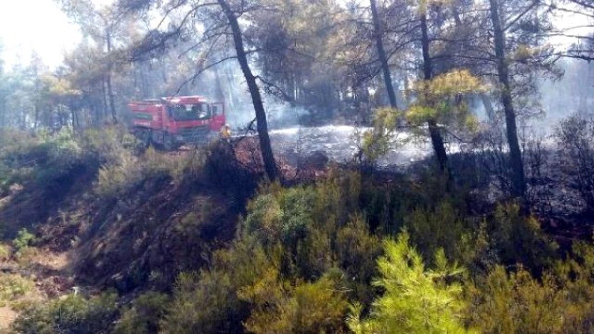 Köyceğiz\'de Orman Yangını Nedeniyle Karayolu Trafiğe Kapatıldı (3)