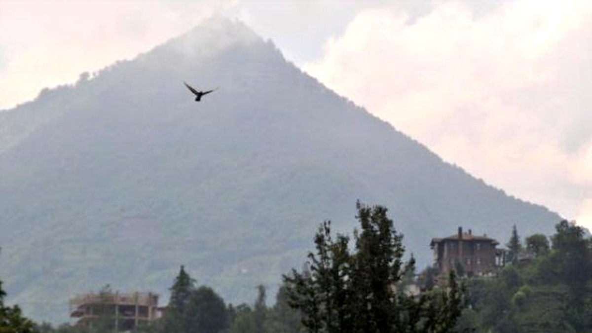 Cumhurbaşkanı Erdoğan İçin Rize\'de İlginç Pankartlar