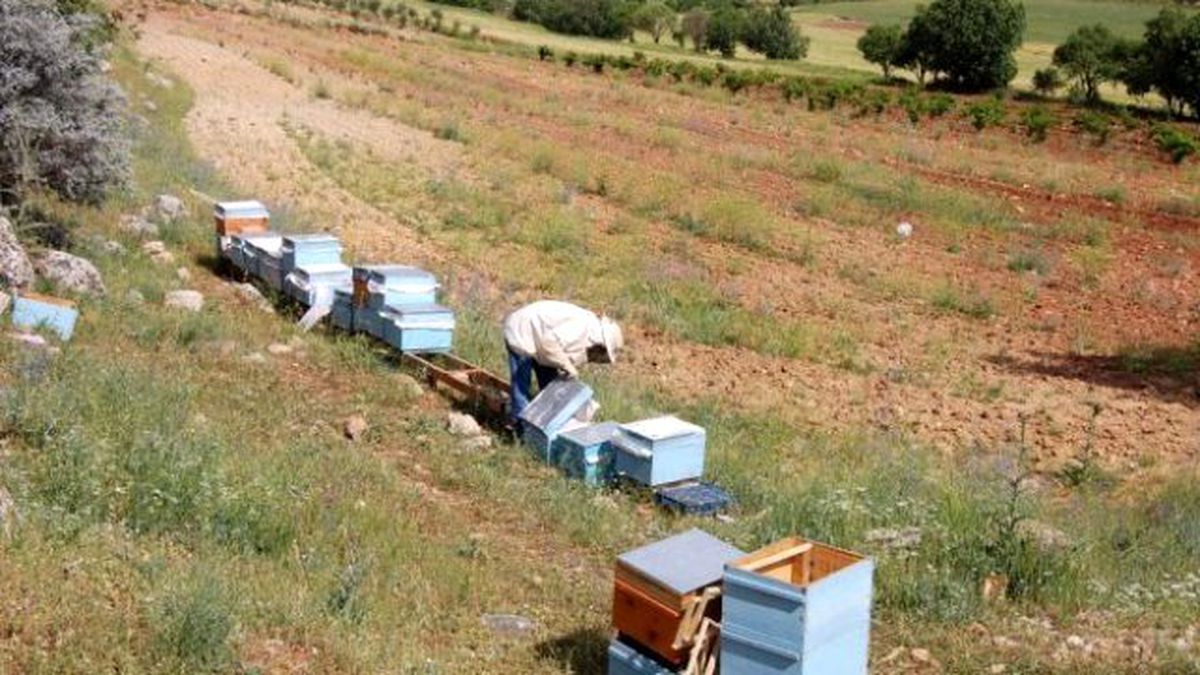 Edirne\'den Kısa Kısa