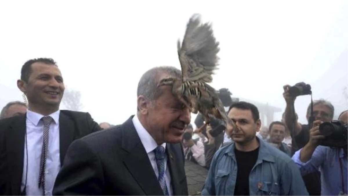 Erdoğan\'ın Başına Keklik Konduğu Anın Fotoğrafı, Dünyada Ses Getirdi