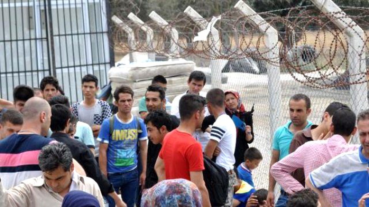 Ayvacık\'ta Denizde ve Karada Toplam 396 Kaçak Yakalandı
