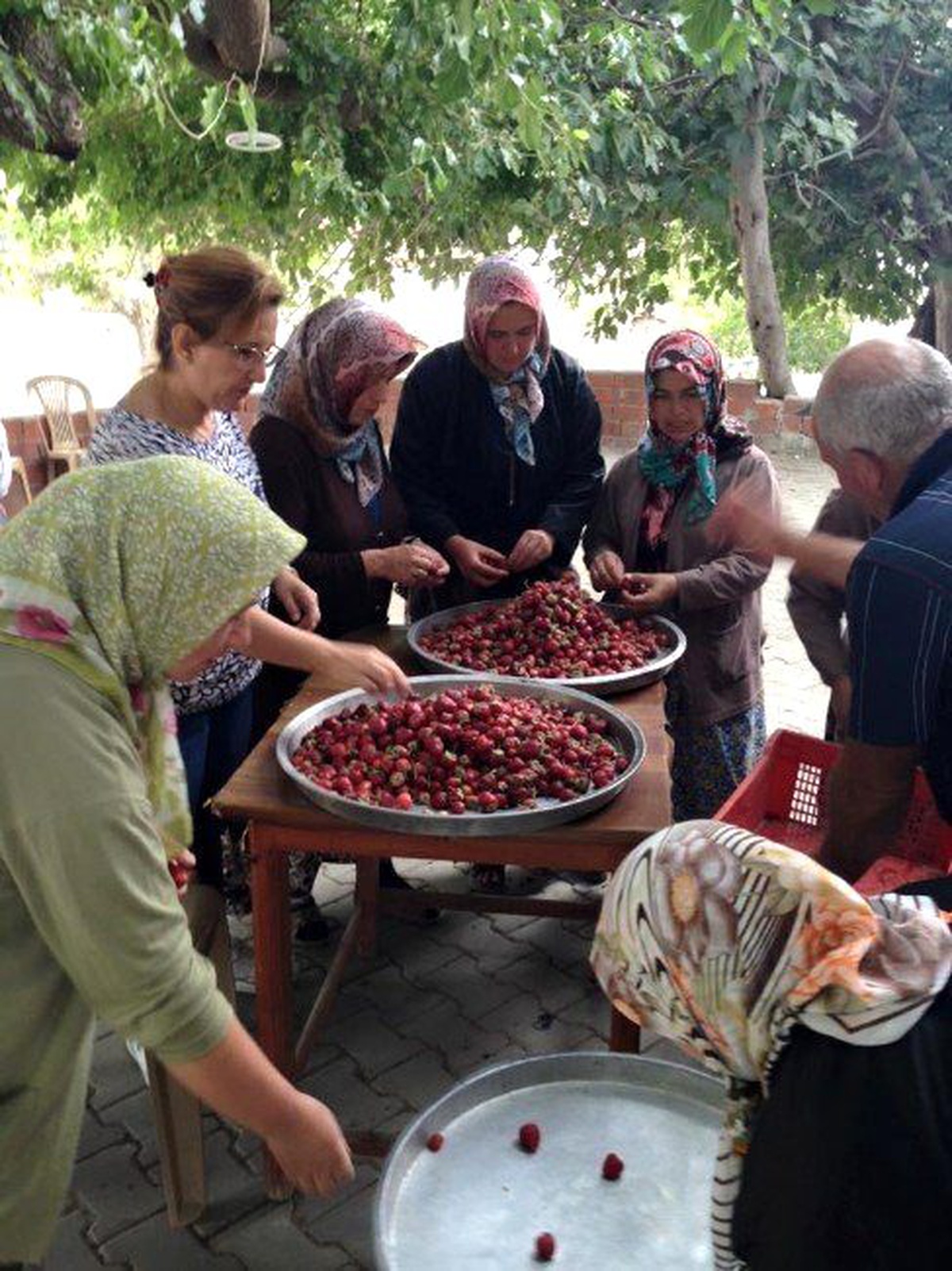 Burhaniye\'de Kırtıklı Kadınlar Organik Reçel Yapımını Öğrendi